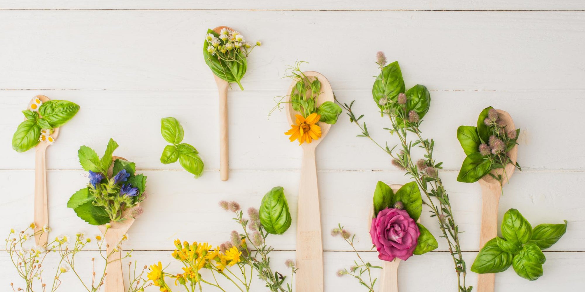 Blossoming Relief: Unveiling the Headache-Soothing Powers of Spring Flowers