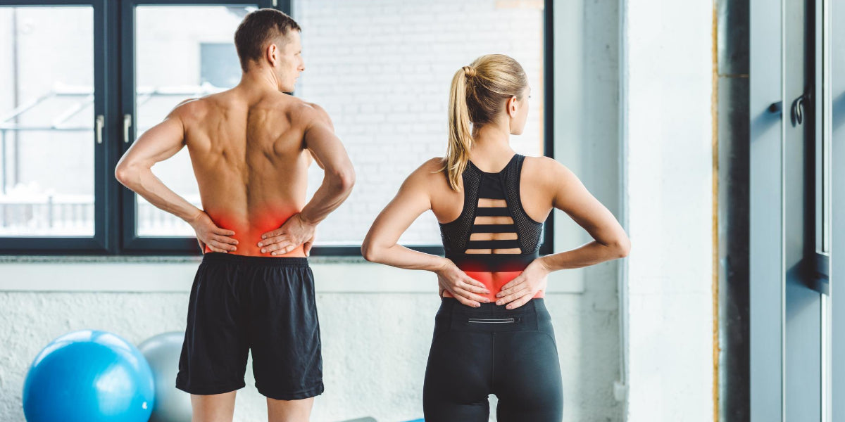 Exercises to Make Your Lower Back Muscles Stronger