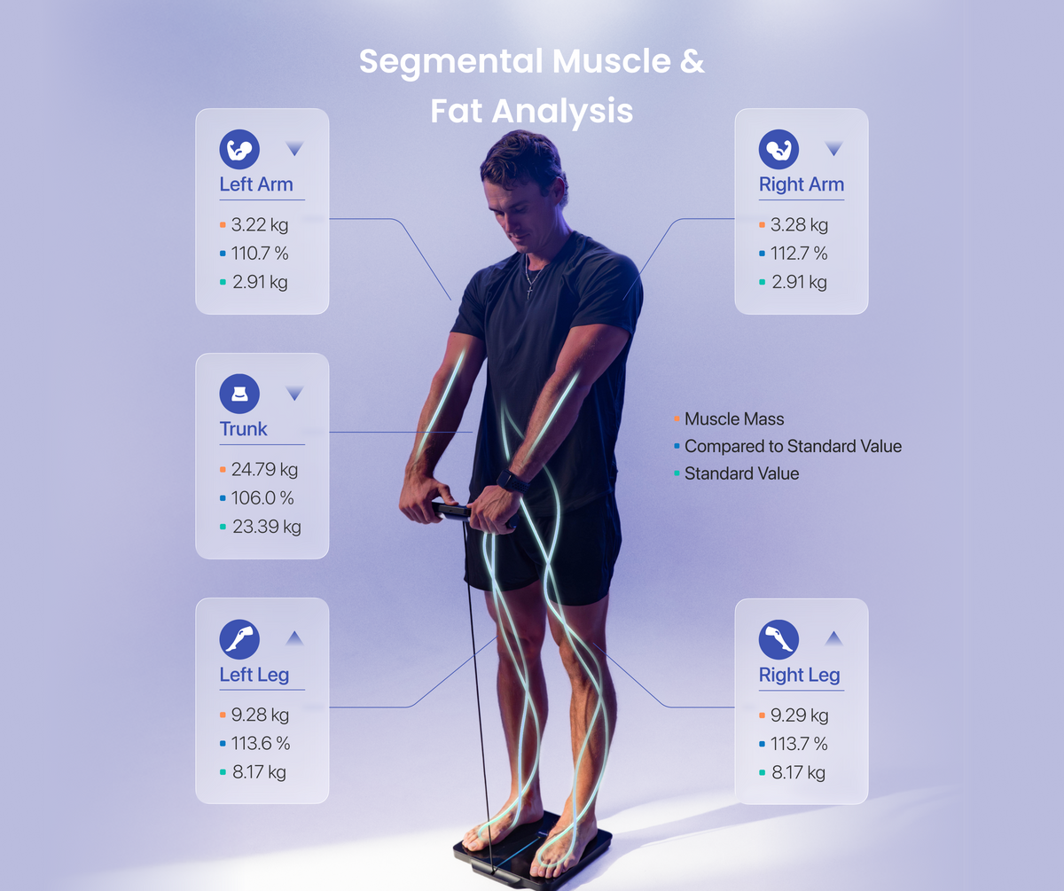 MorphoScan Nova Body Composition Scale