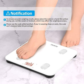 Smart Body Scale - Lite Scale Renpho