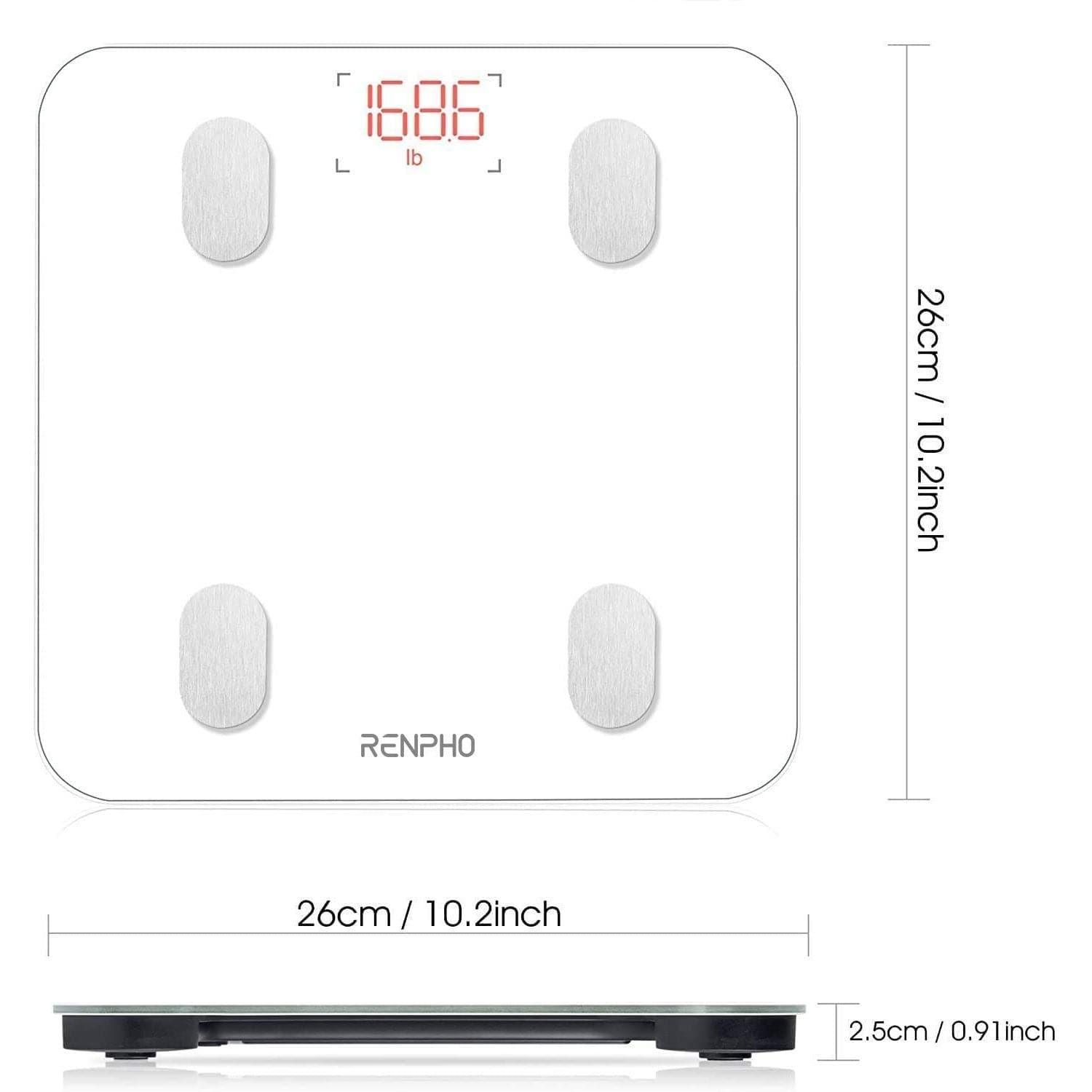 Smart Body Scale - Lite Scale Renpho